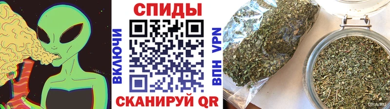 Купить где  Апрелевка  Бутират 99% 