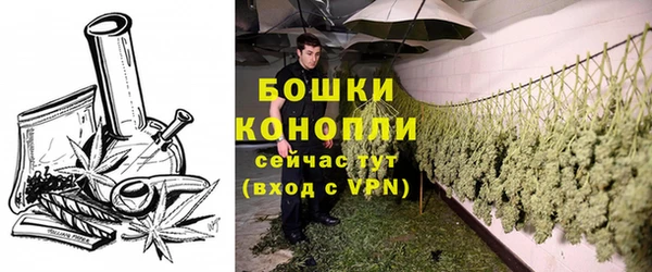 спиды Лагань