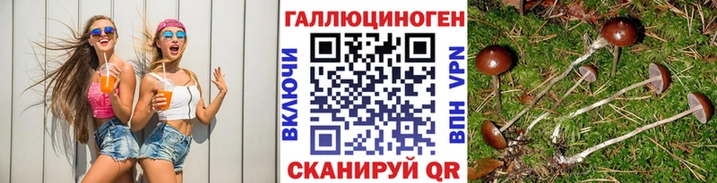 Купить  Апрелевка  Псилоцибиновые грибы Psilocybine cubensis 